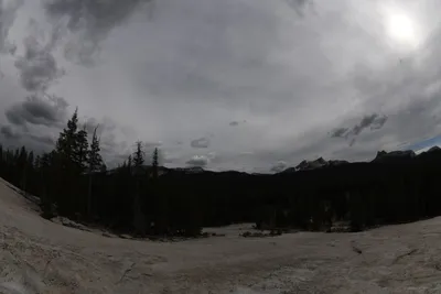 DSC_4445 (Large).JPG